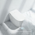 DV70  Chinese family's toilet heated toilet seat can sterilize